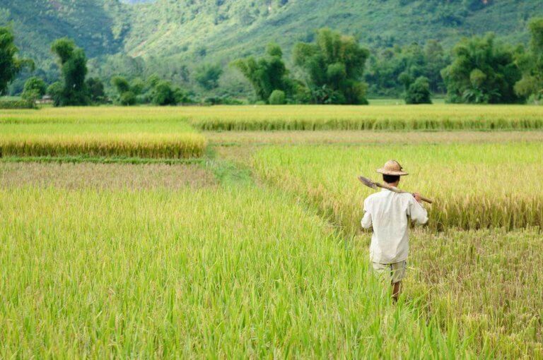 AEC 2015 Set to Further Boost Bullish ASEAN Markets