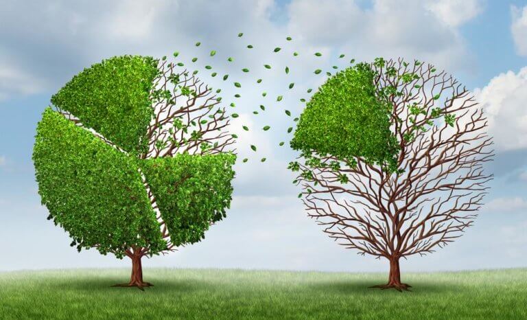 Freedom Finance Becomes Zmarta Group and Enters the German Market