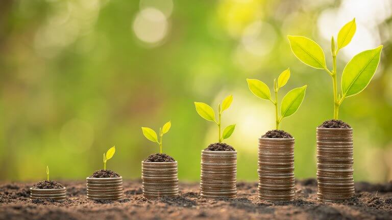 You and Your Money: Making it Grow
